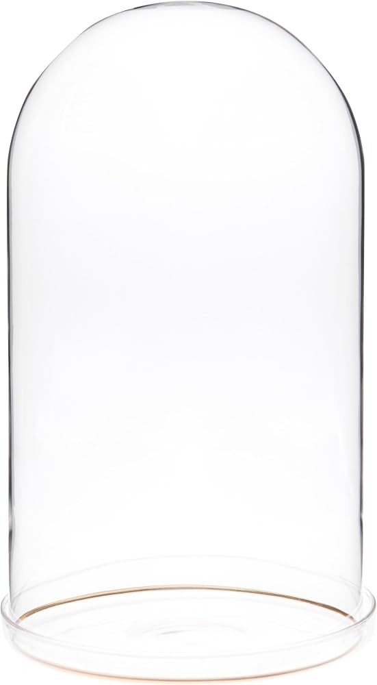 Plymor 5.5" x 10" Glass Display Dome Cloche with Gold Rim (Clear Glass Tray Base) | Amazon (US)