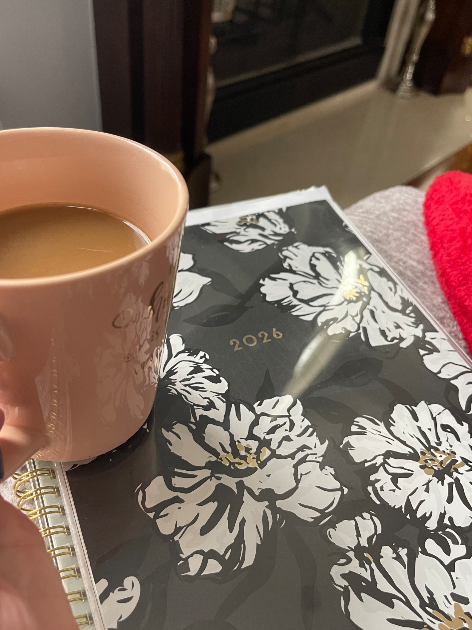 The Best 2026 Planner⚡️✨💕
I love this planner to write down alllll the things! 
Planner, 2026 Planner, Amazon planner, Amazon finds

#LTKFindsUnder50 #LTKFindsUnder100