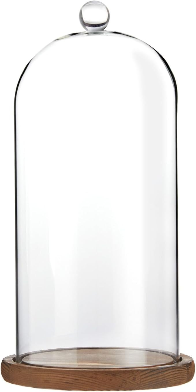 Farmlyn Creek Glass Dome Cloche Display Case - 5.1 x 5.1 x 10 in, Clear Dome & Wood Base - Cloche... | Amazon (US)
