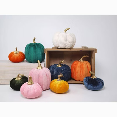 10ct Multi Velvet & Cord Pumpkins - Bullseye's Playground™ | Target