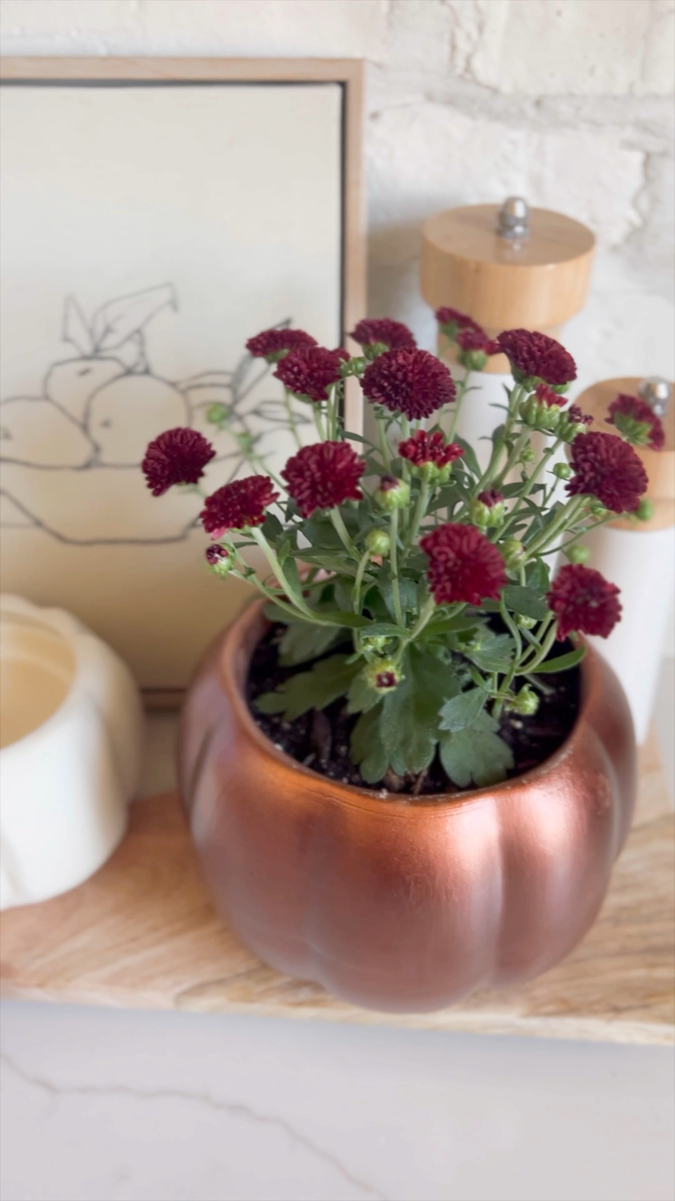 Pumpkin mum planter! 

#LTKSeasonal #LTKhome