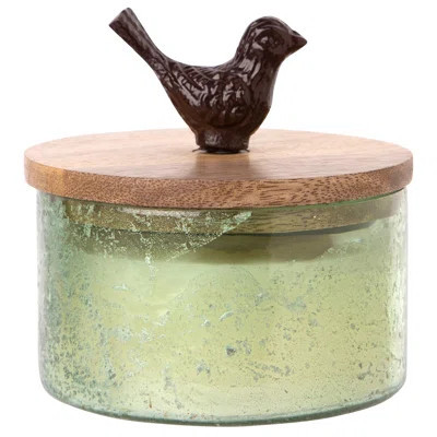Paradise 3Wick Candle | Wayfair North America
