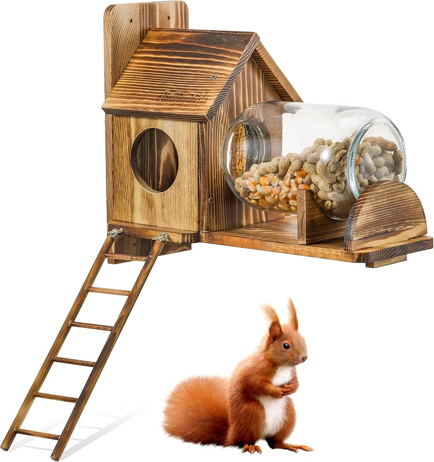Squirrel Feeder Wood Squirrel Feeders for Outside Funny Squirrel House with Nut Peanuts Storage B... | Amazon (US)