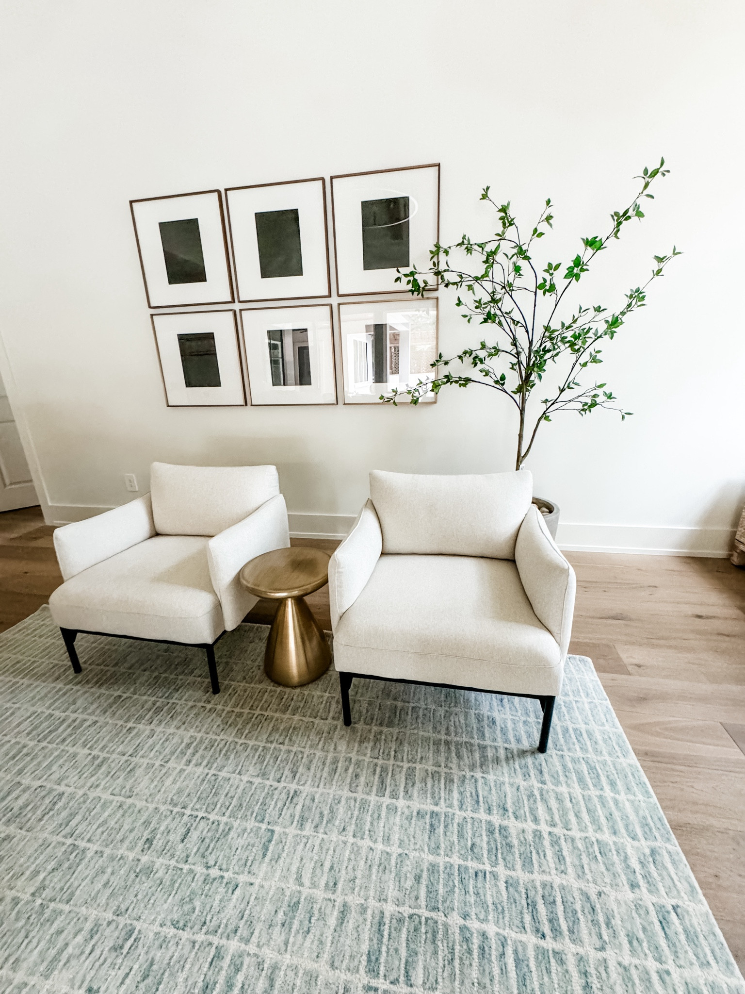 Still need to fill the frames, but this rug is from Amazon.  Looks EXACTLY like the one from pottery barn but this one is cheaper!  Reviews are outstanding and I love the way it looks in the living room.

#LTKHome #LTKOver40 #LTKSaleAlert