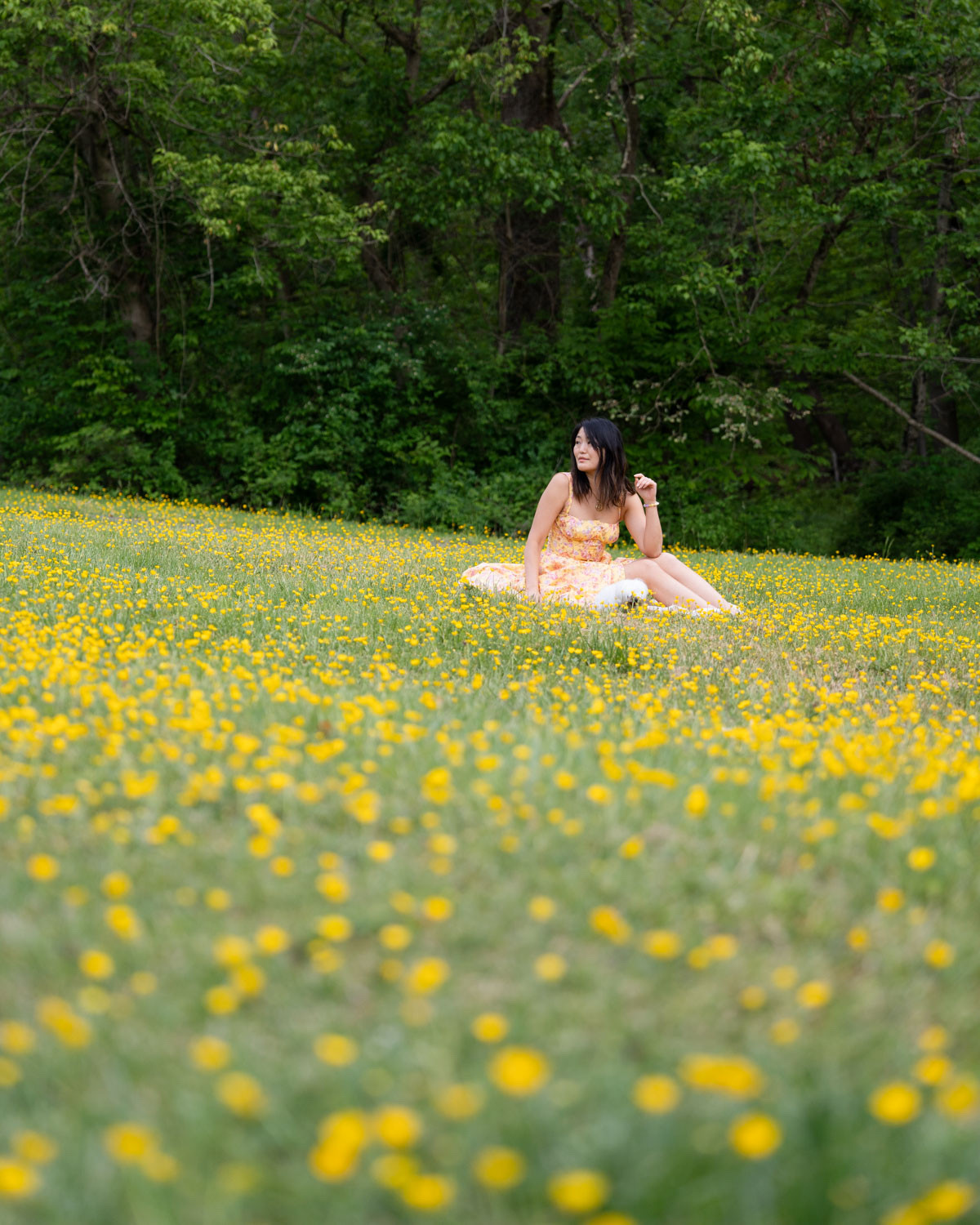 whimsy dresses 

 
