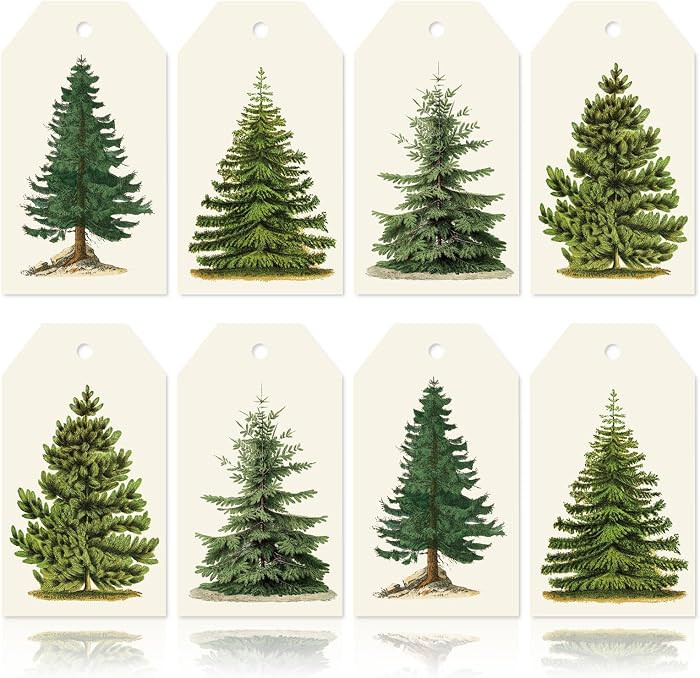Whaline 120Pcs Christmas Tree Gift Tags with Rope Vintage Green Beige Paper Tags Xmas Winter Hang... | Amazon (US)