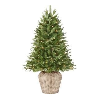 Home Accents Holiday 4 ft Fraser Fir Incandescent Pre-Lit Artificial Christmas Tree with 70 White... | The Home Depot