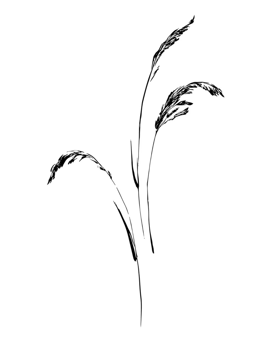 Wild Herb II | Collection Prints