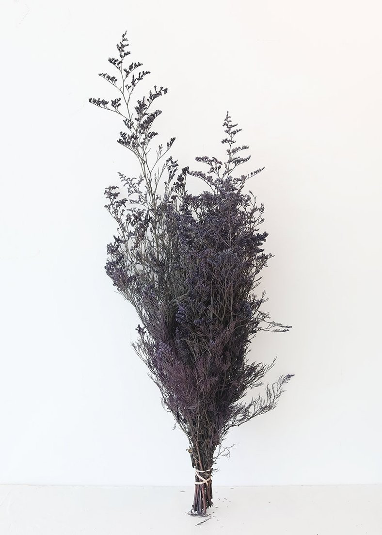 Purple Preserved Caspia Filler Flowers - 20-24" Tall | Afloral (US)