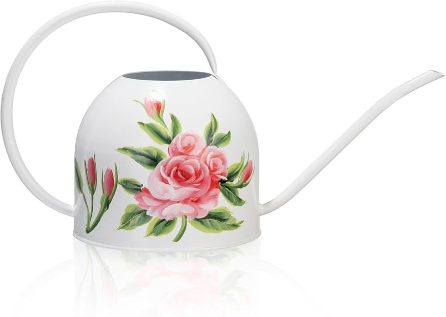 MOYEE Small White Metal Long Spout Watering Can Outdoor Indoor Spray Bottle for Plants Hand Drawn... | Amazon (US)