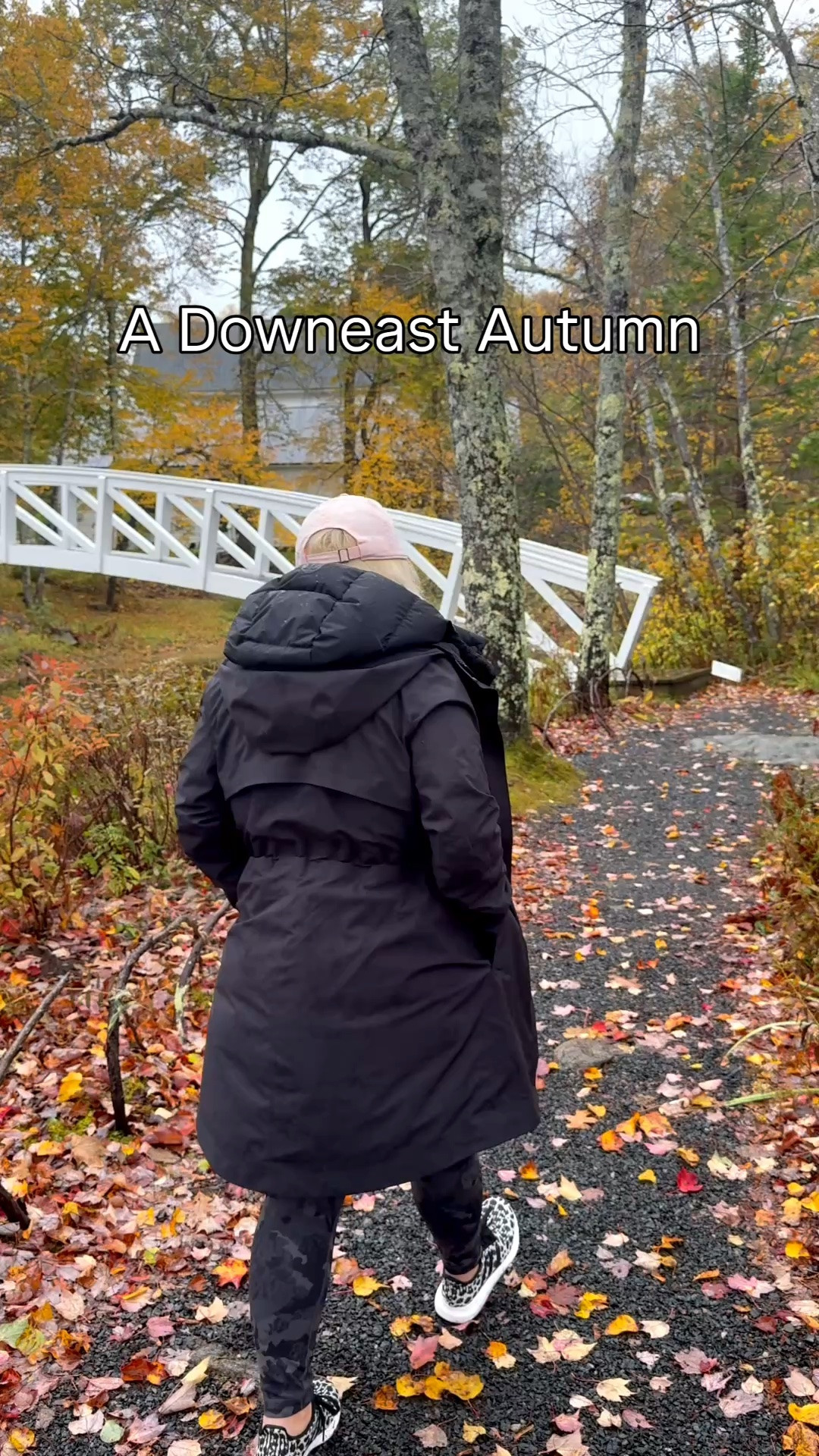 This is your sign to book that trip
and come to the Down East side of
maine.
#downeast #coastalmaine #exploremaine #eastportmaine

#LTKPetite #LTKTravel #LTKSeasonal