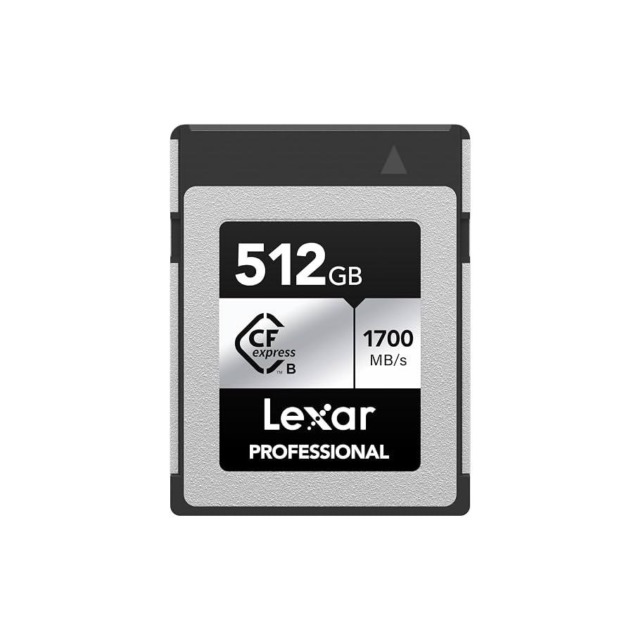 Lexar 512GB Professional Silver SE CFexpress Type B Memory Card, for Photographers, Videographers... | Amazon (US)