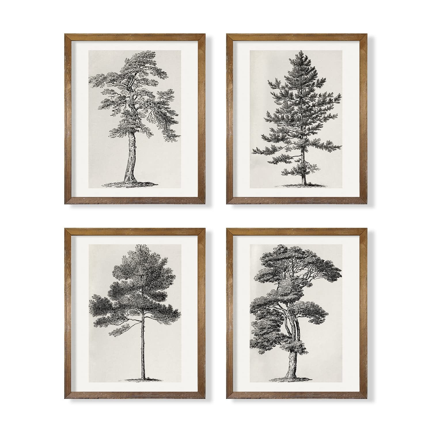 Grey Neutral Forest Tree Sketch Drawing Etching - Modern Farmhouse Botanical Wall Art - Beige Nat... | Amazon (US)