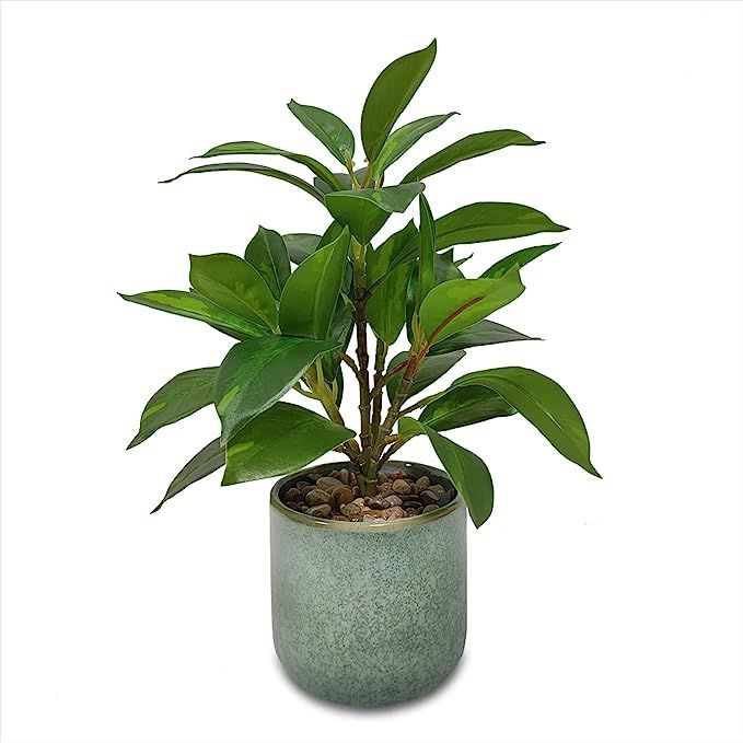 Artificial Plant in Turquoise Glaze Ceramic Pot,MiniFiddle Leaf Fig Tree Faux Plants Potted for H... | Amazon (US)