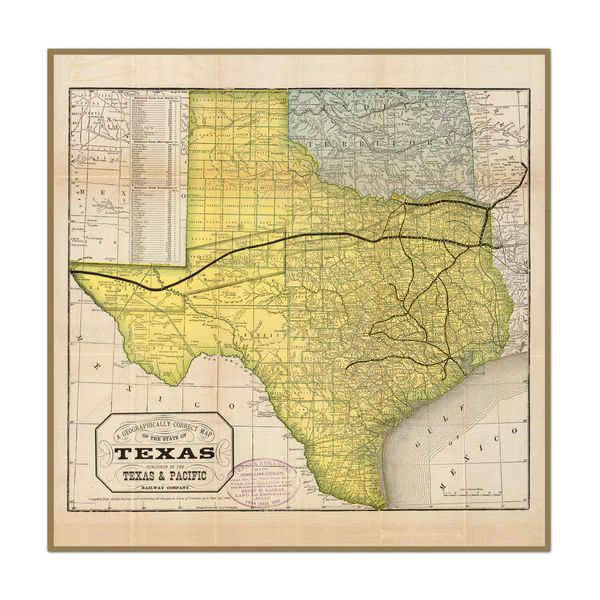 Vintage Texas Map | Urban Garden Prints