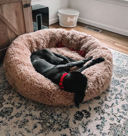 Piper LOVES her dog bed. We got this so she would stop sitting on the couch, and she hasn’t jump on the couch once in the 4 days she’s had this bed. We got the 36” size.

#LTKfindsunder100 #LTKhome