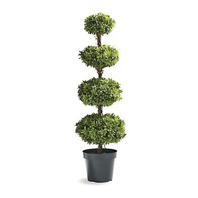 Outdoor Four Tier Boxwood Disc Topiary | Frontgate | Frontgate