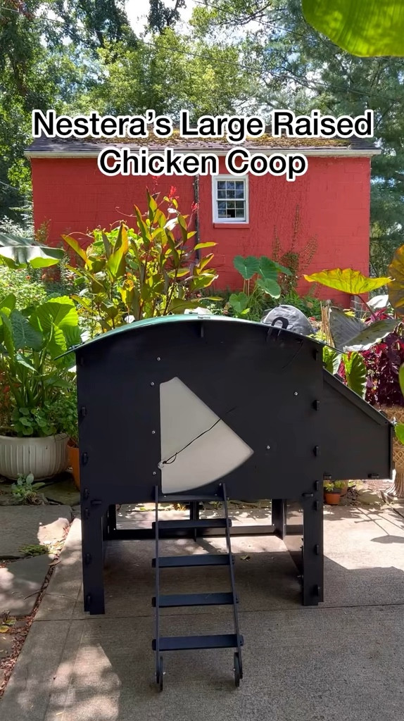 Sustainable Backyard Chicken Coop! Made from 100% Recycled Plastic!

#LTKWatchNow #LTKFamily #LTKHome