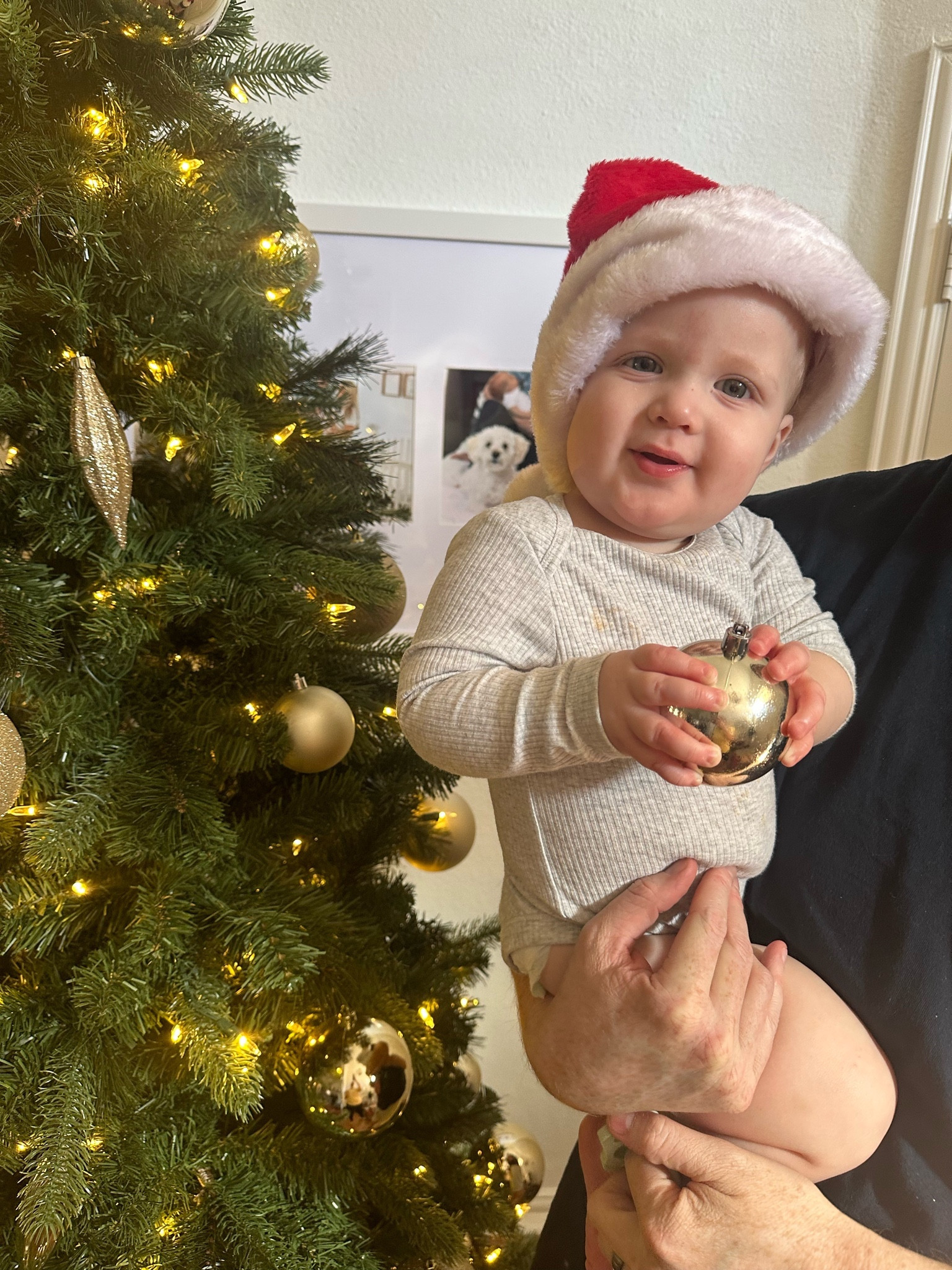 Toys for Cooper 🎄🎁#LTKfamily #LTKbaby

#LTKGiftGuide