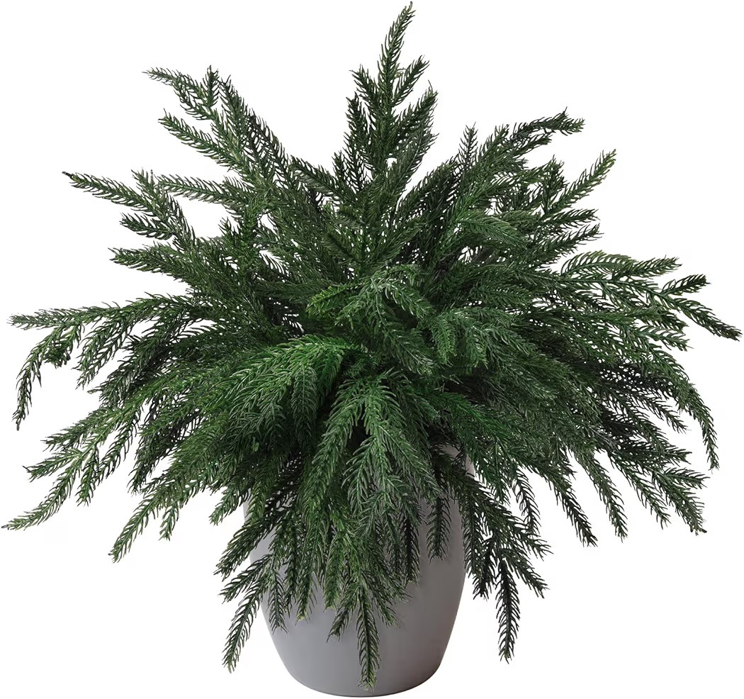 10PCS Christmas Norfolk Pine Stems, Real Touch 15 Inch Artificial Norfolk Pine Branches, Fake Gre... | Amazon (US)