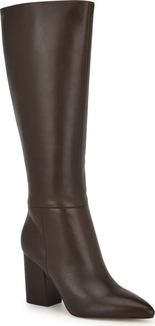 Peachey Pointed Toe Knee High Boot (Women) | Nordstrom