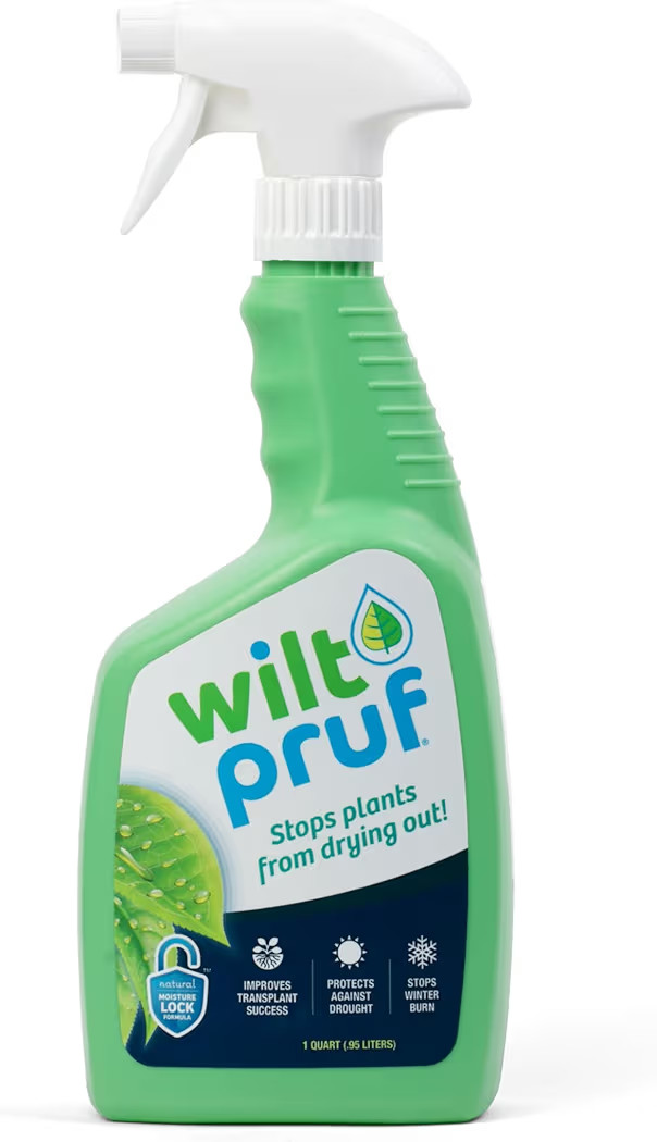 Wilt-Pruf® Original Organic Winter Plant Protector | Ready-toSpray | Prevents Mositure Loss and ... | Amazon (US)