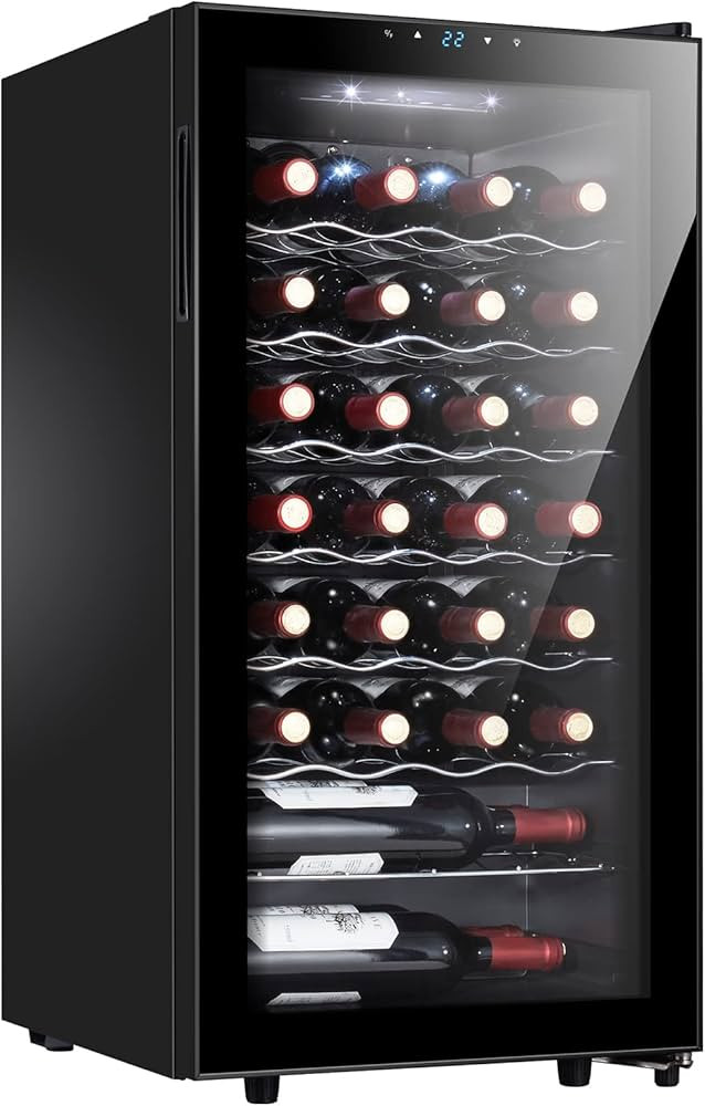 28 Bottle Compressor Wine Cooler Refrigerator, Small Freestanding Wine Fridge for Red, White and ... | Amazon (US)