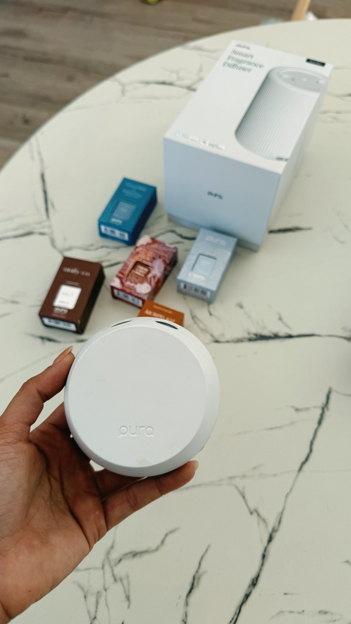 Pura faves ! Love that they are pet friendly. 

#LTKHome #LTKSeasonal #LTKPets