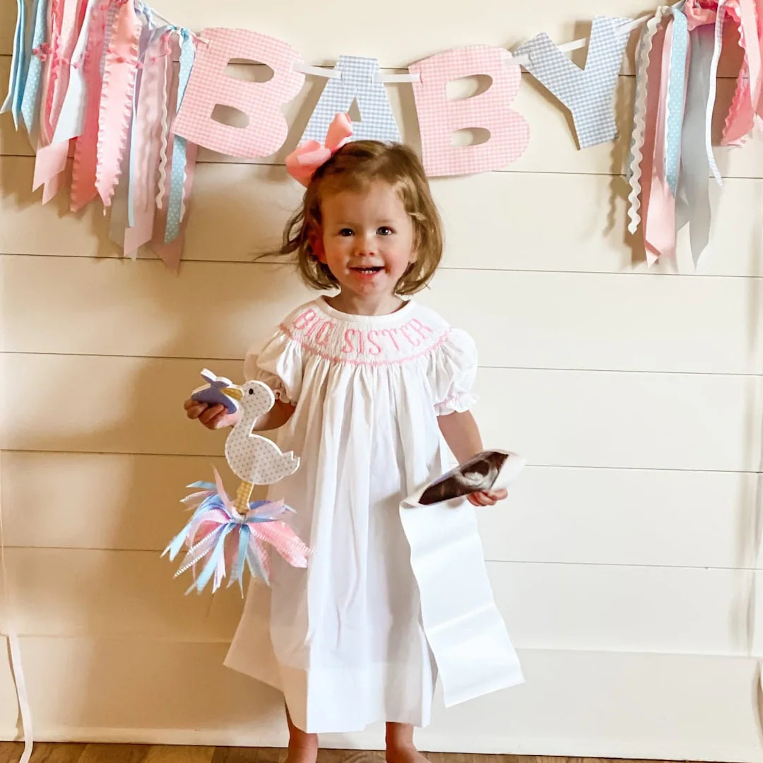 Big Sister Smocked Dress in Pink Bishop Style, Gender Reveal Party, Coordinating Brother & Sister... | Etsy (US)