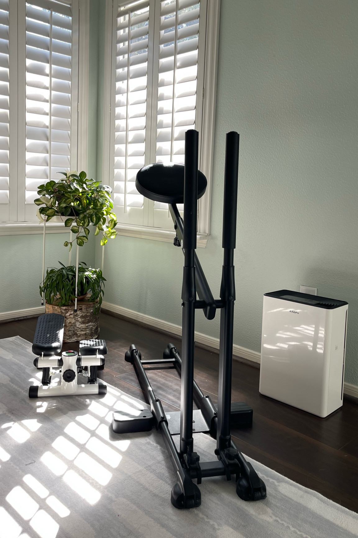 Here’s a peek at my wellness corner. The small workout gear helps me stay active in between tasks. I can get some steps in or squat while catching up on TV. 

Real houseplants brighten up the corner and also freshen the air, the perfect addition to the air purifier in this space. 



#LTKOver40 #LTKFitness #LTKHome