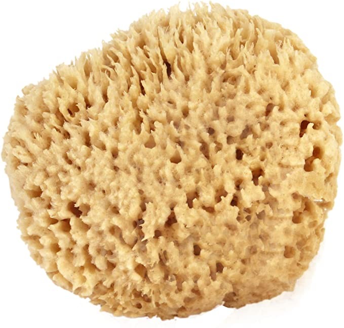 Sea Wool Sponge 5-6" (Large) by Bath & Shower Express ® Natural Renewable Resource, Esponja for ... | Amazon (US)