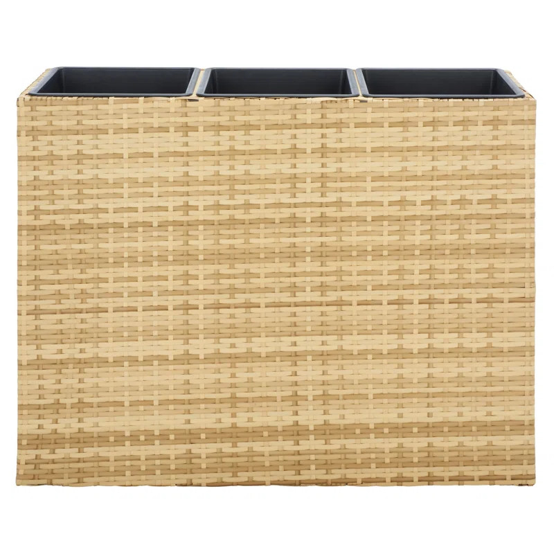 Rita 1 - Piece Wicker Planter Box | Wayfair North America