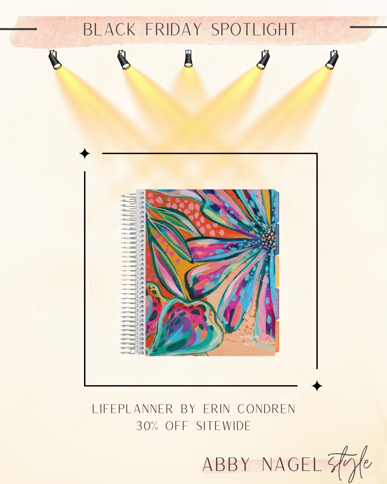 I use a LifePlanner every year! I always wait for the black Friday sale to get mine ordered!