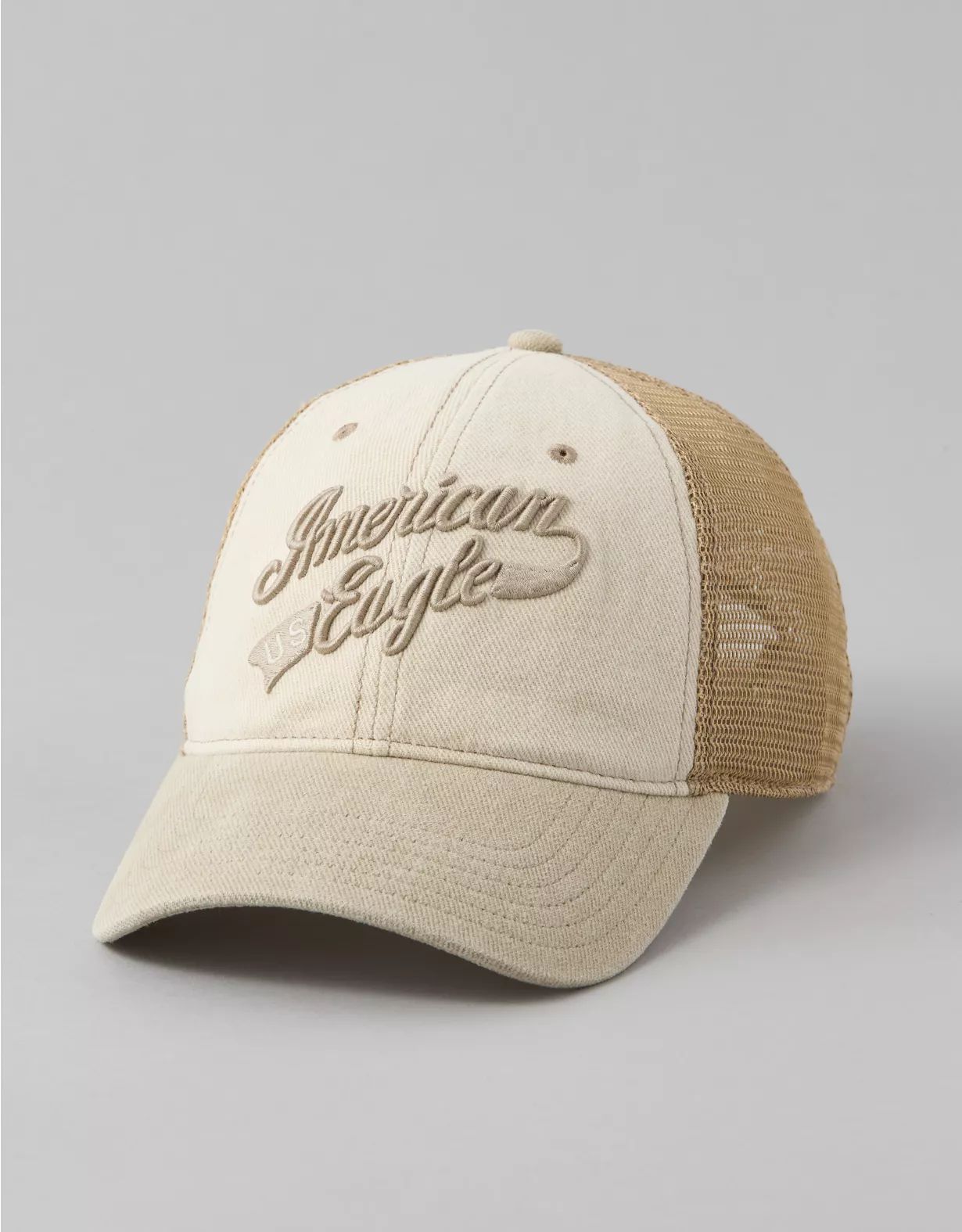 AE Vintage Logo Baseball Hat | American Eagle Outfitters (US & CA)