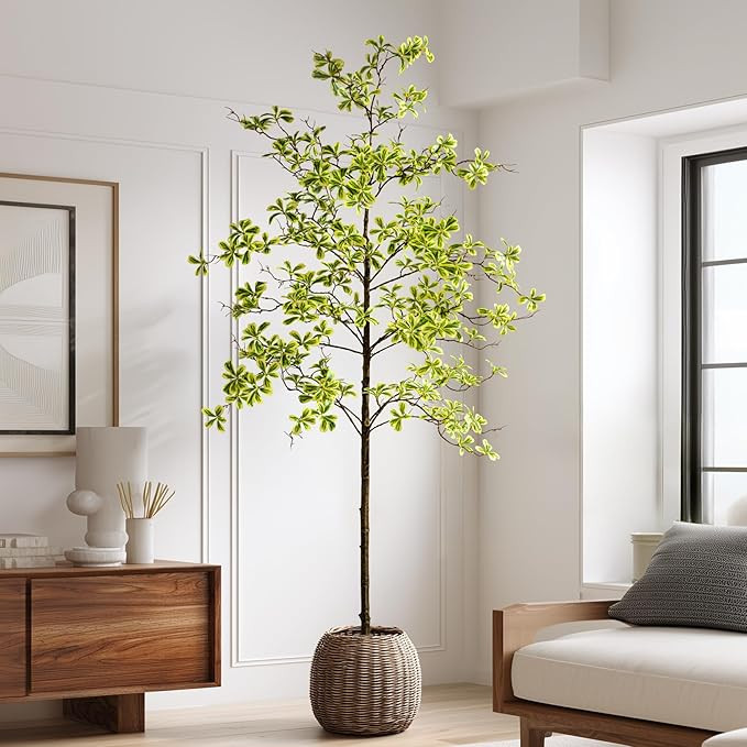 Faux Black Olive Tree 7ft, Faux Plants Indoor Large Tall Tree Artificial Shady Lady Tree with Nat... | Amazon (US)