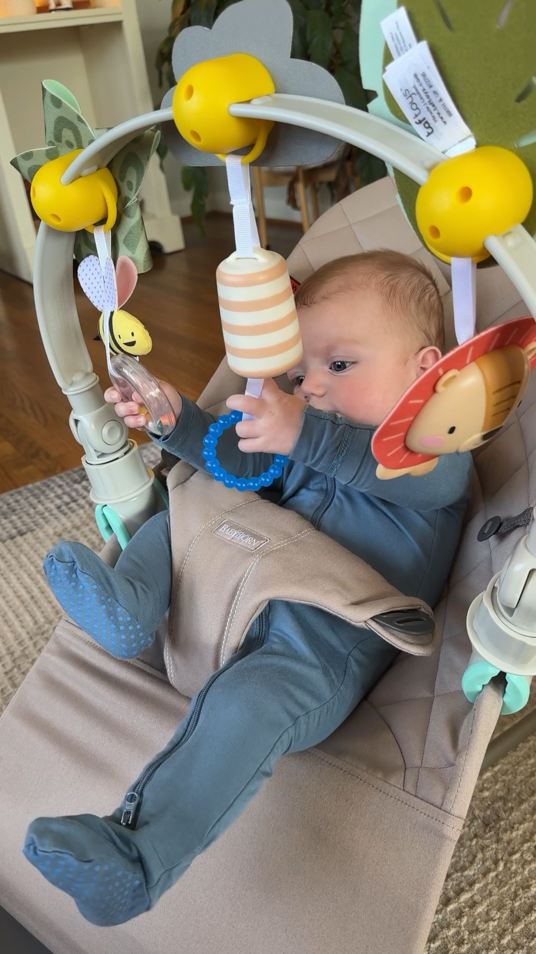 Best attachment for the Baby Bjorn bouncer!! So much entertainment! 