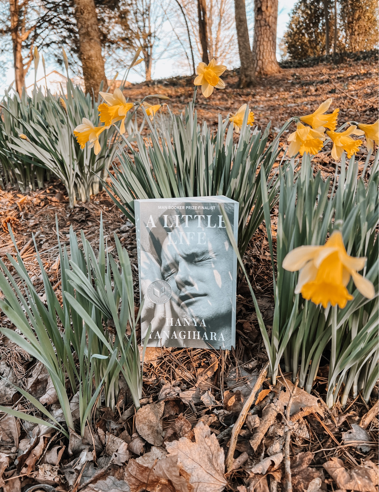 SOBBING 😭 How did this story make you feel?!

NATIONAL BOOK AWARD FINALIST • MAN BOOKER PRIZE FINALIST • WINNER OF THE KIRKUS PRIZE

A Little Life follows four college classmates—broke, adrift, and buoyed only by their friendship and ambition—as they move to New York in search of fame and fortune. While their relationships, which are tinged by addiction, success, and pride, deepen over the decades, the men are held together by their devotion to the brilliant, enigmatic Jude, a man scarred by an unspeakable childhood trauma. A hymn to brotherly bonds and a masterful depiction of love in the twenty-first century, Hanya Yanagihara’s stunning novel is about the families we are born into, and those that we make for ourselves. 



#LTKfamily #LTKU #LTKfindsunder50