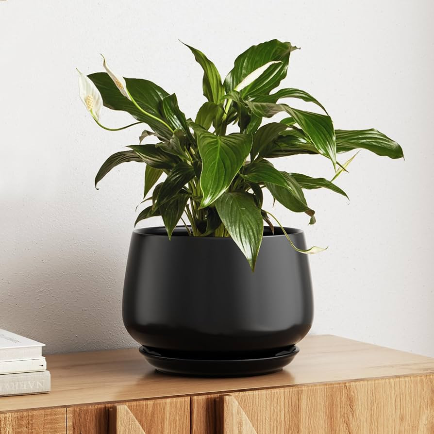 LE TAUCI Ceramic Planter, 10 Inch, Large Plant Pot, Indoor Plant Pot, Black | Amazon (US)