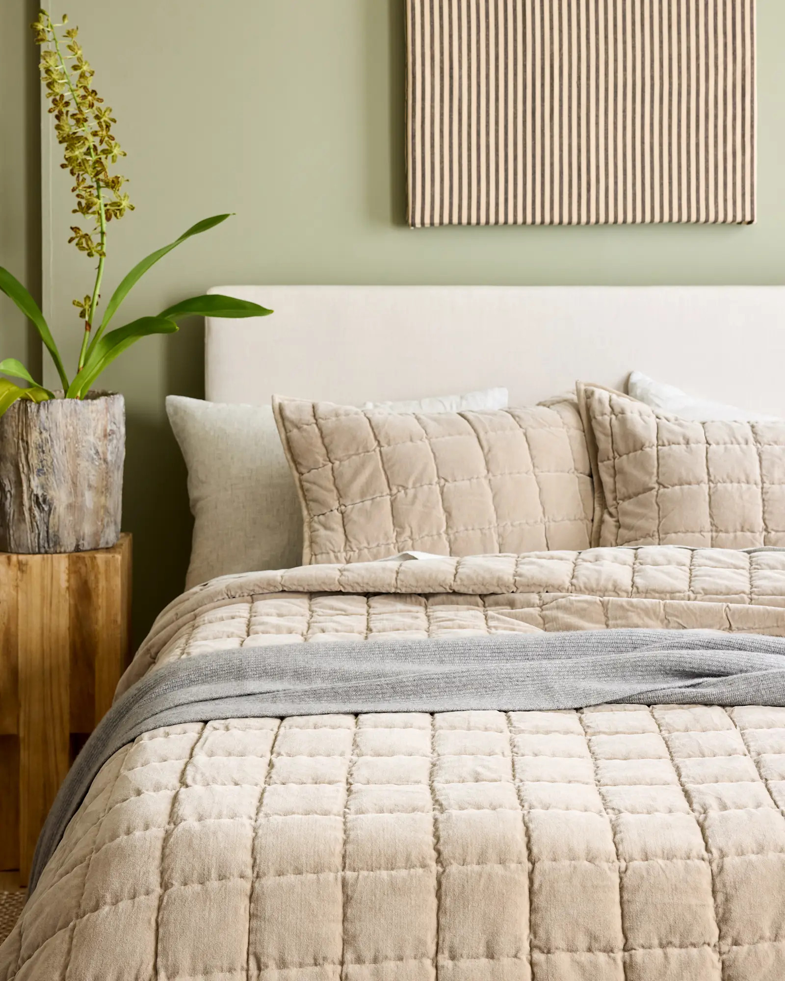 Cotton Velvet Quilted Sham Set in Light Taupe | Quince