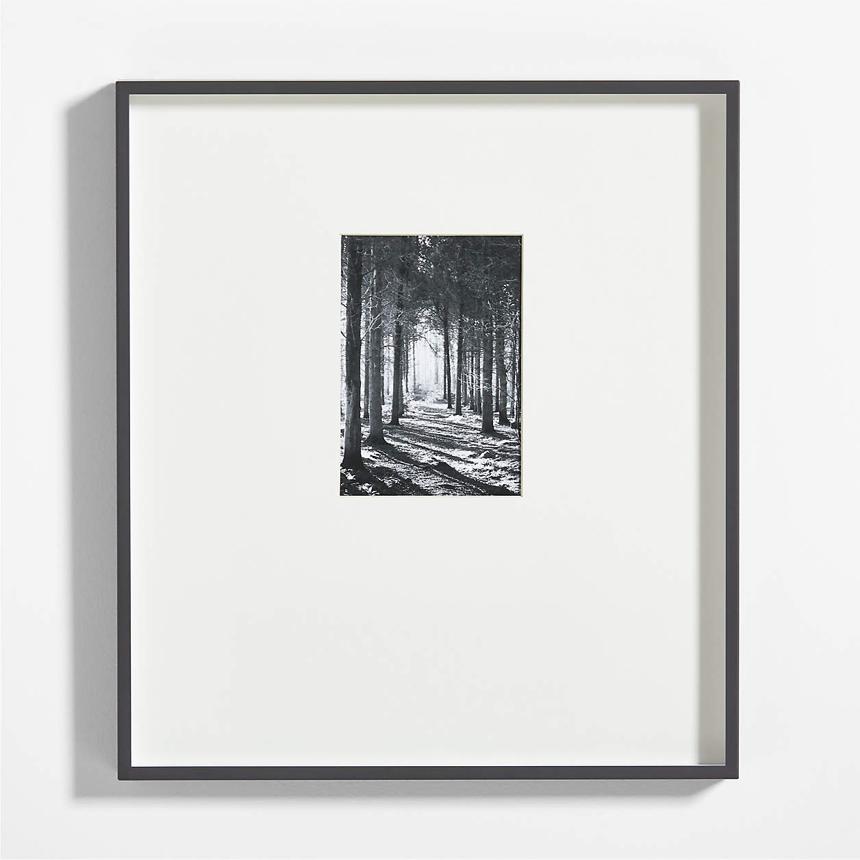 Brushed Black Metal Picture Frame with Vertical White Mat 5x7 + Reviews | Crate & Barrel | Crate & Barrel