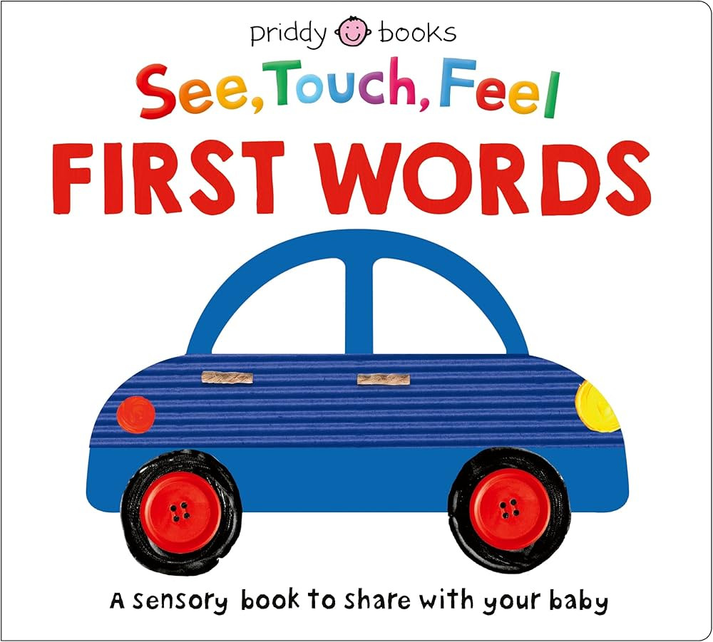 See Touch Feel: First Words: A sensory book for babies and toddlers | Amazon (US)