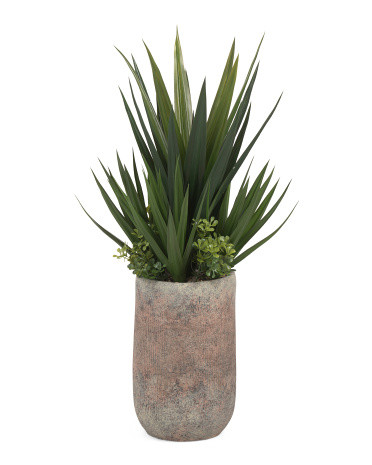 40in Agave With Greenery In Magnesium Oxide Pot With Rocks | TJ Maxx