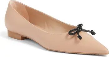 Stuart Weitzman Landon Pointed Toe Ballet Flat (Women) | Nordstrom | Nordstrom