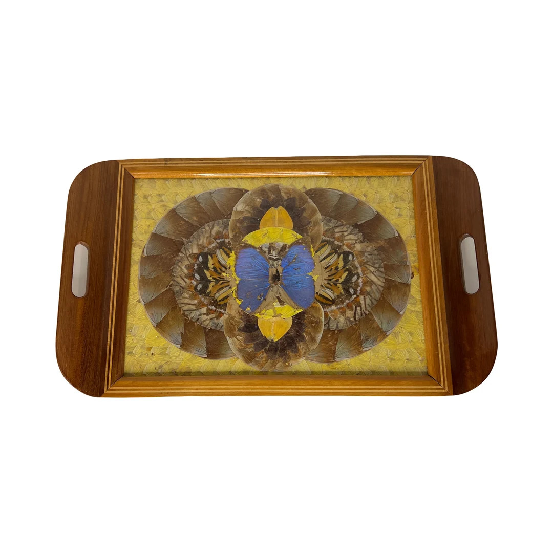 VTG Brazilian Inlay Wood Tray Butterfly Blue Morpho Wings Under Glass - Etsy | Etsy (US)