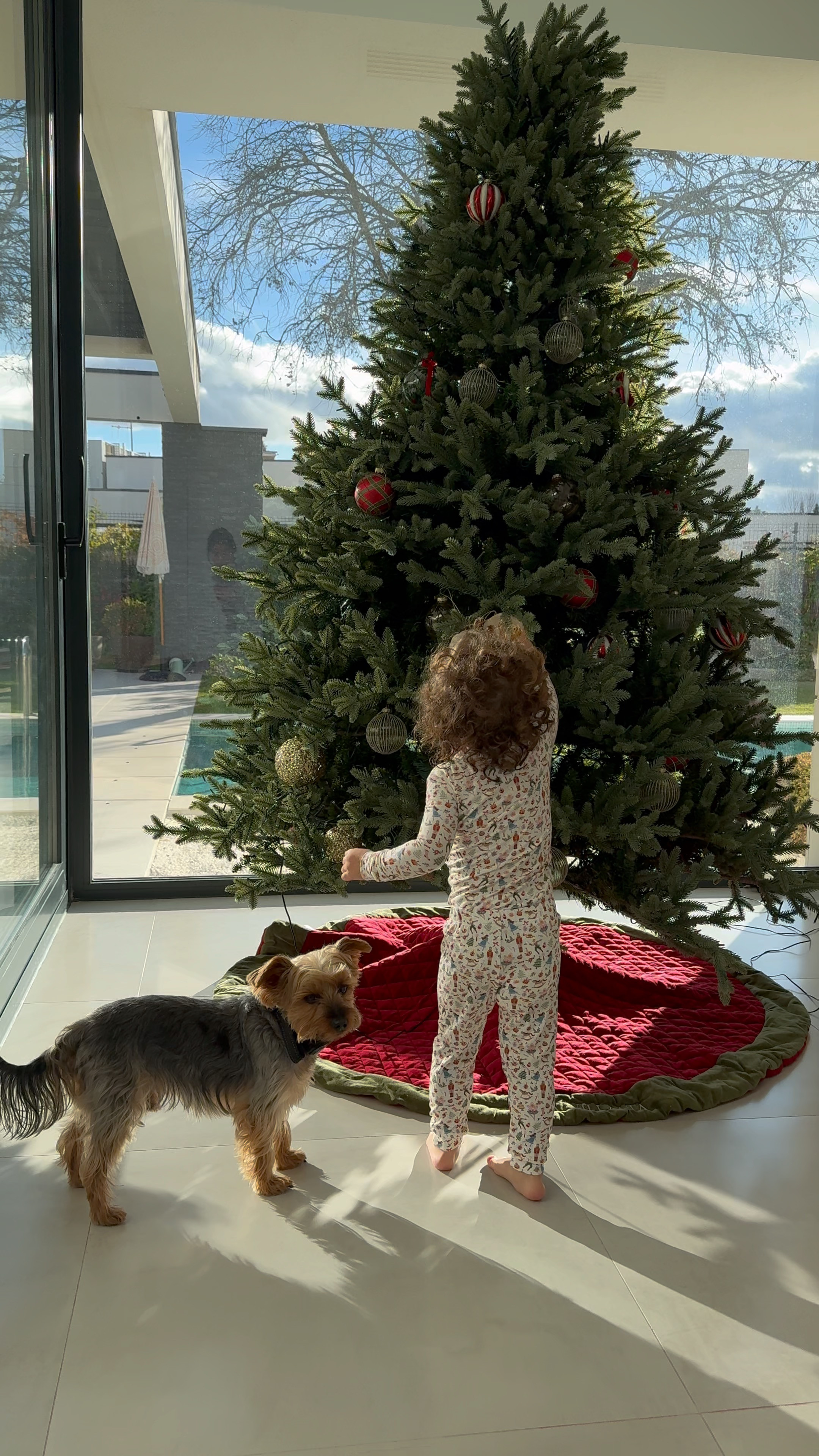 Feeling the holiday magic with our beautiful Christmas tree! 🎄✨ So many memories being made under the twinkling lights and festive decorations. #ChristmasTree #HolidayDecor #FestiveVibes #ChristmasSpirit #LTKholiday #HolidaySeason #HomeForTheHolidays #ChristmasMagic #ShopMyLook 

 #LTKGiftGuide #LTKSeasonal #LTKFamily