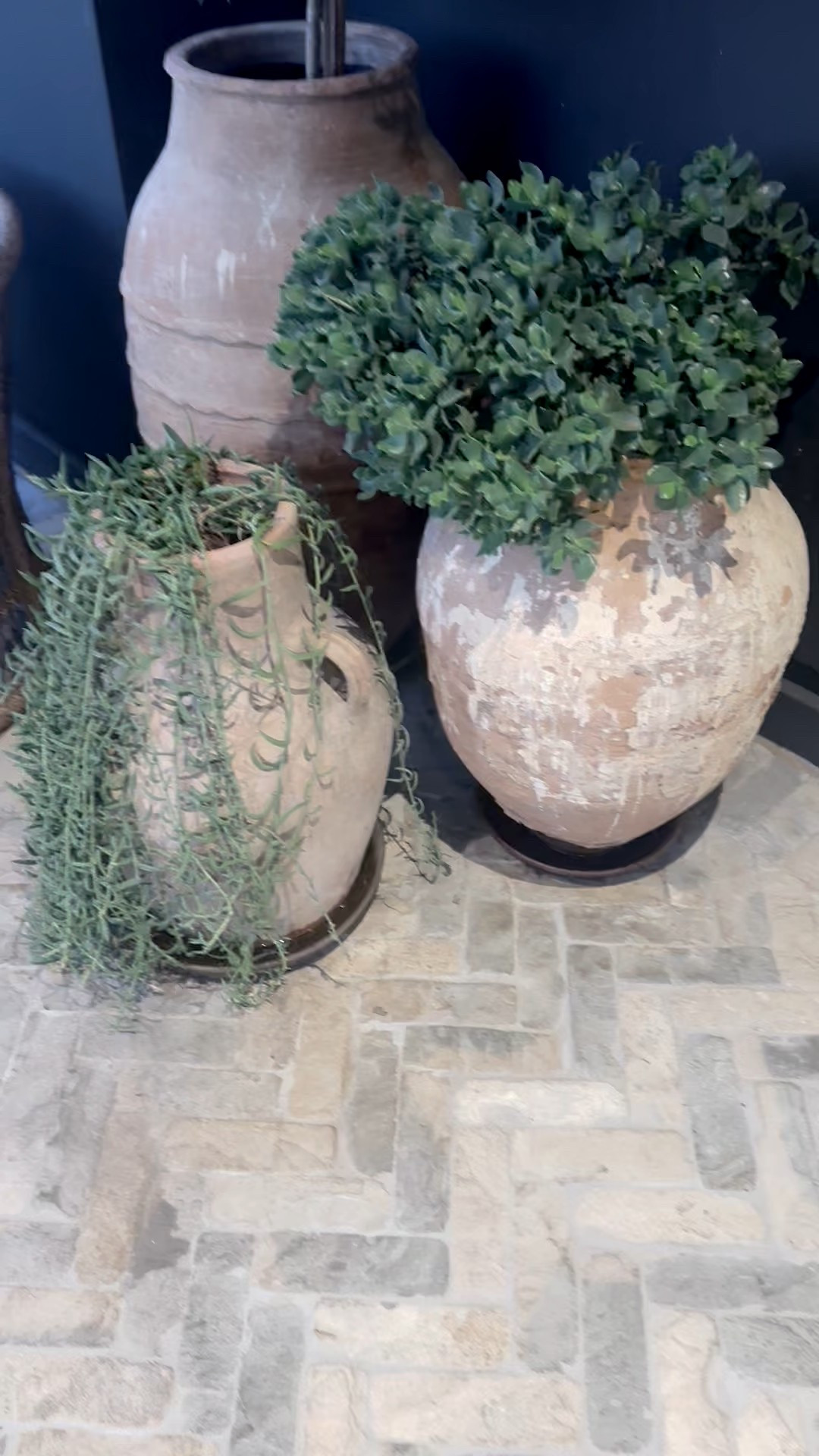 Good morning.🌿

#planter #morningmood #plantmoment #slowliving #homedetails #outdoorliving #curatedhome #lifestyleinspo

#LTKvlog #LTKHome #LTKdayinmylife