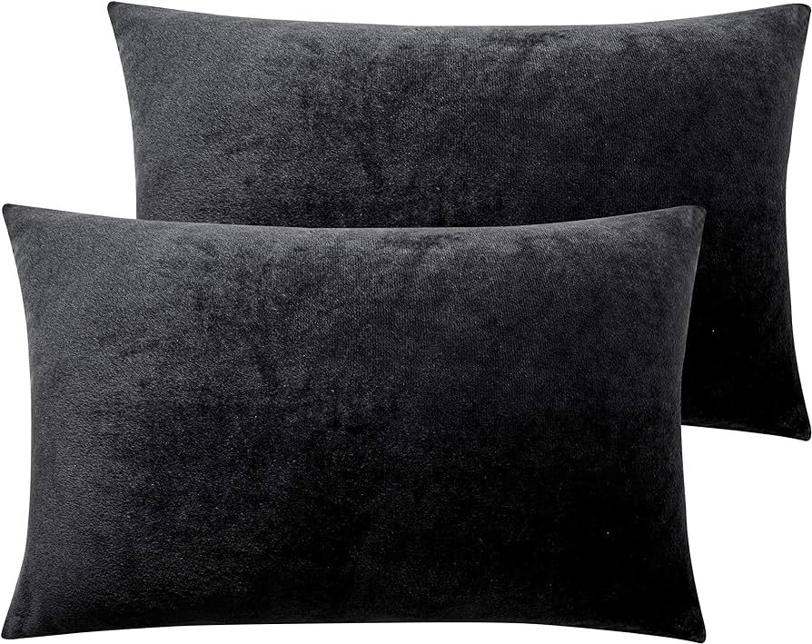 NTBAY 2 Pack Zippered Velvet King Pillowcases, Super Soft and Cozy Luxury Fuzzy Flannel Pillow Ca... | Amazon (US)