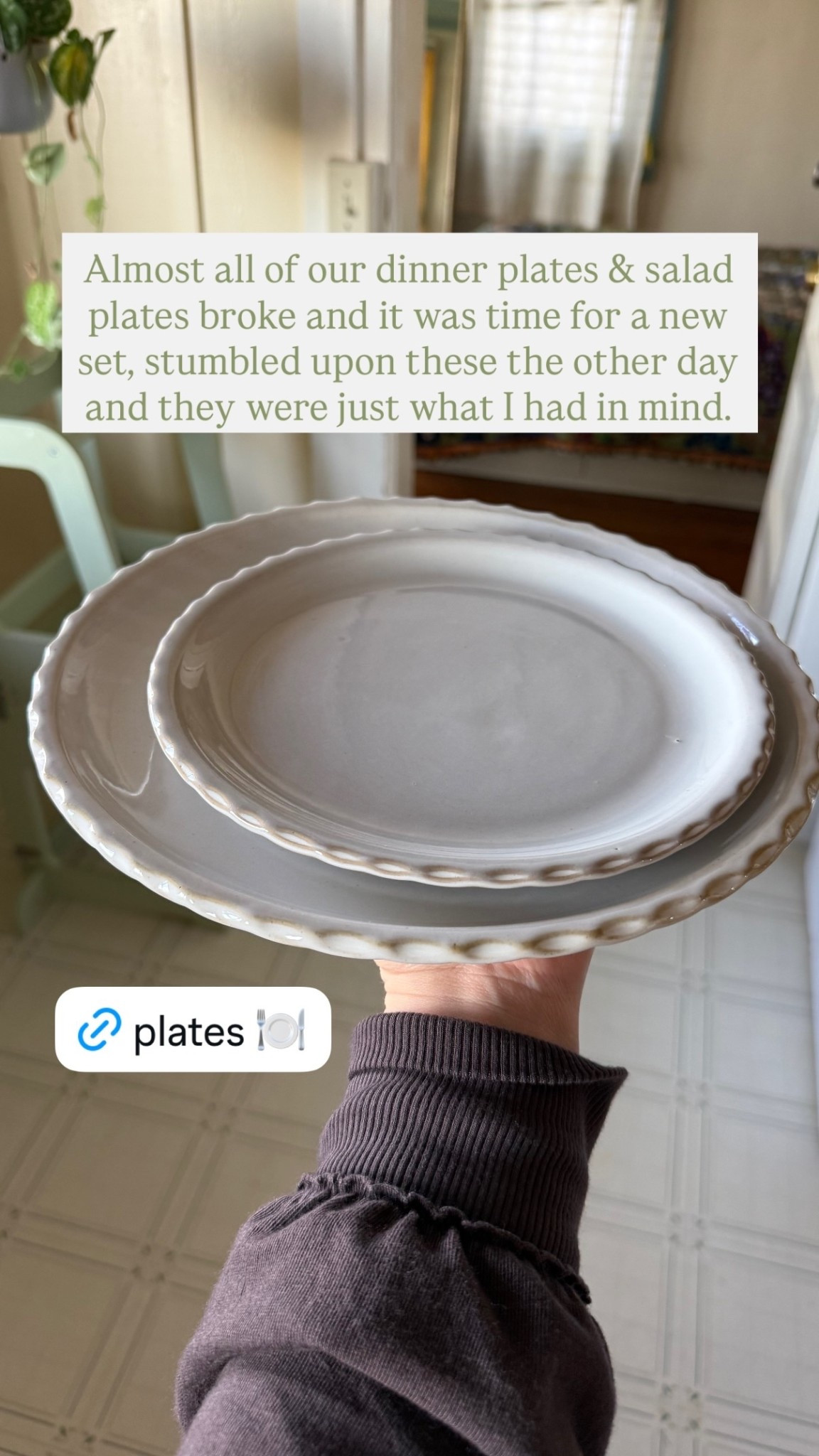 Almost all of our dinner plates & salad plates broke and it was time for a new set, stumbled upon these the other day and they were just what I had in mind. $23 for a set of 4!

#LTKHome #LTKfoodie #LTKFindsUnder50