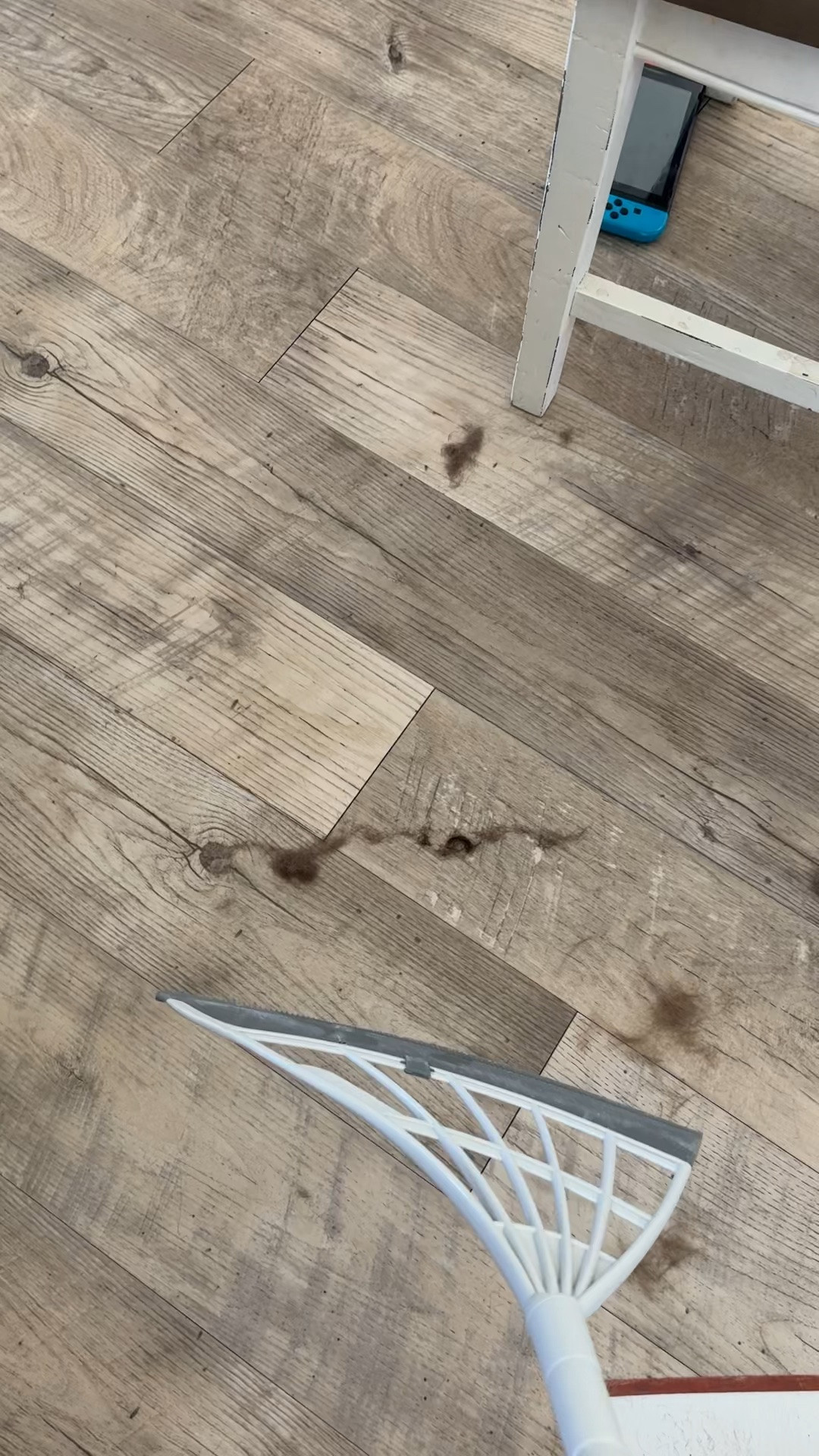Silicone broom 🧹