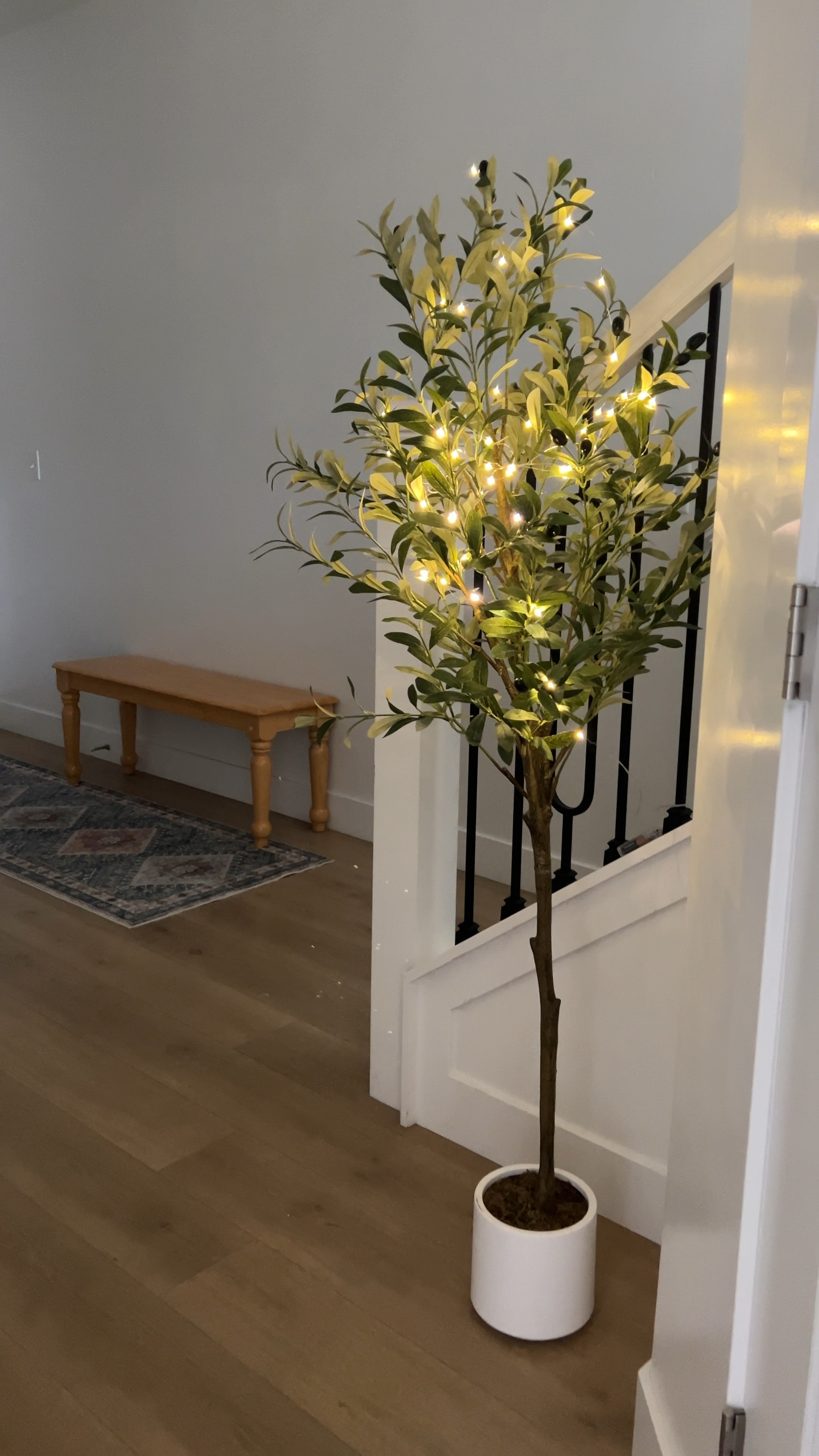 This is your sign to put twinkle lights on your olive tree 🫶🏻 both the tree and lights are on sale right now! 

#LTKSaleAlert #LTKCyberWeek #LTKHome